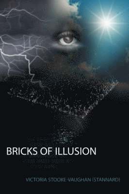 Bricks of Illusion 1