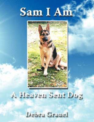 Sam I am a Heaven Sent Dog 1