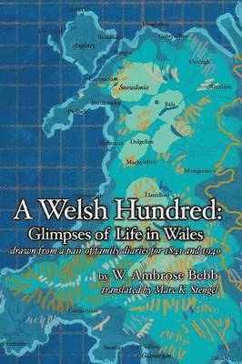 bokomslag Welsh Hundred