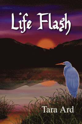 Life Flash 1