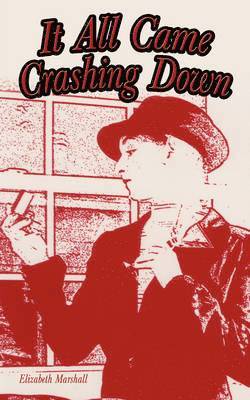 Elizabeth Marshall - It All Came Crashing Down, Häftad