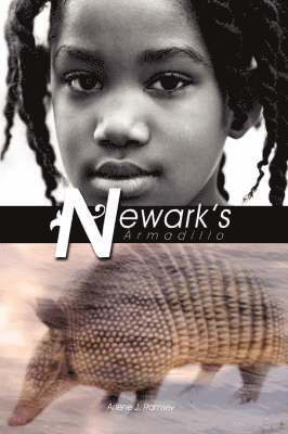 Newark's Armadillo 1