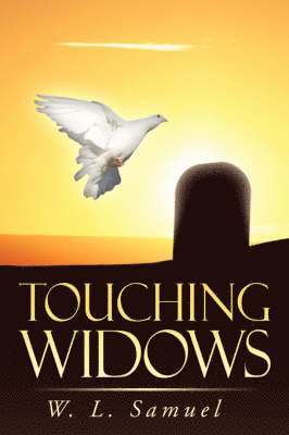 bokomslag Touching Widows