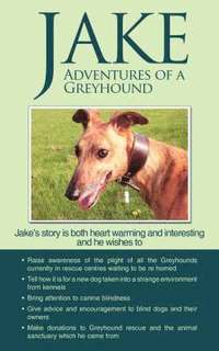 bokomslag Jake Adventures of a Greyhound