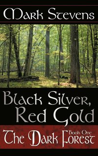 bokomslag Black Silver, Red Gold