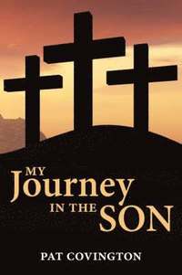 bokomslag My Journey in the Son