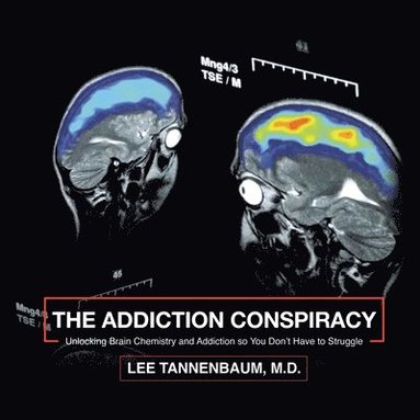 bokomslag Addiction Conspiracy