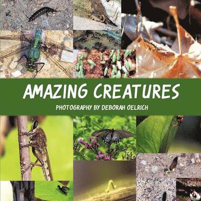 Amazing Creatures 1