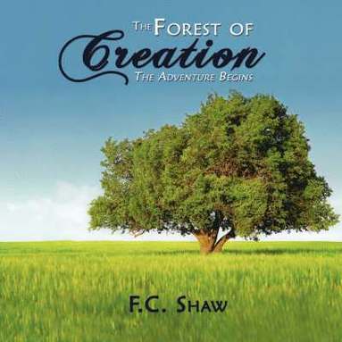 bokomslag Forest of Creation