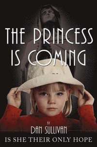 bokomslag The Princess is Coming
