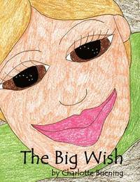 bokomslag The Big Wish