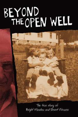 Beyond the Open Well 1