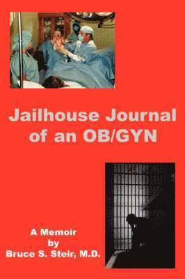 Jailhouse Journal of an OB/GYN 1