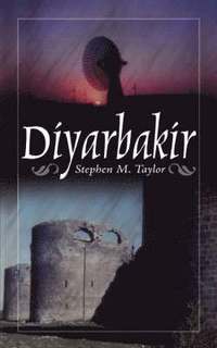 bokomslag Diyarbakir