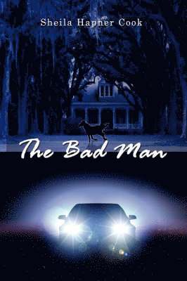 Sheila Hapner Cook - Bad Man, Inbunden