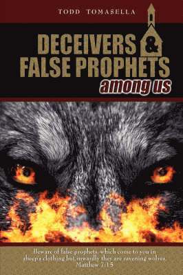 bokomslag Deceivers & False Prophets Among Us