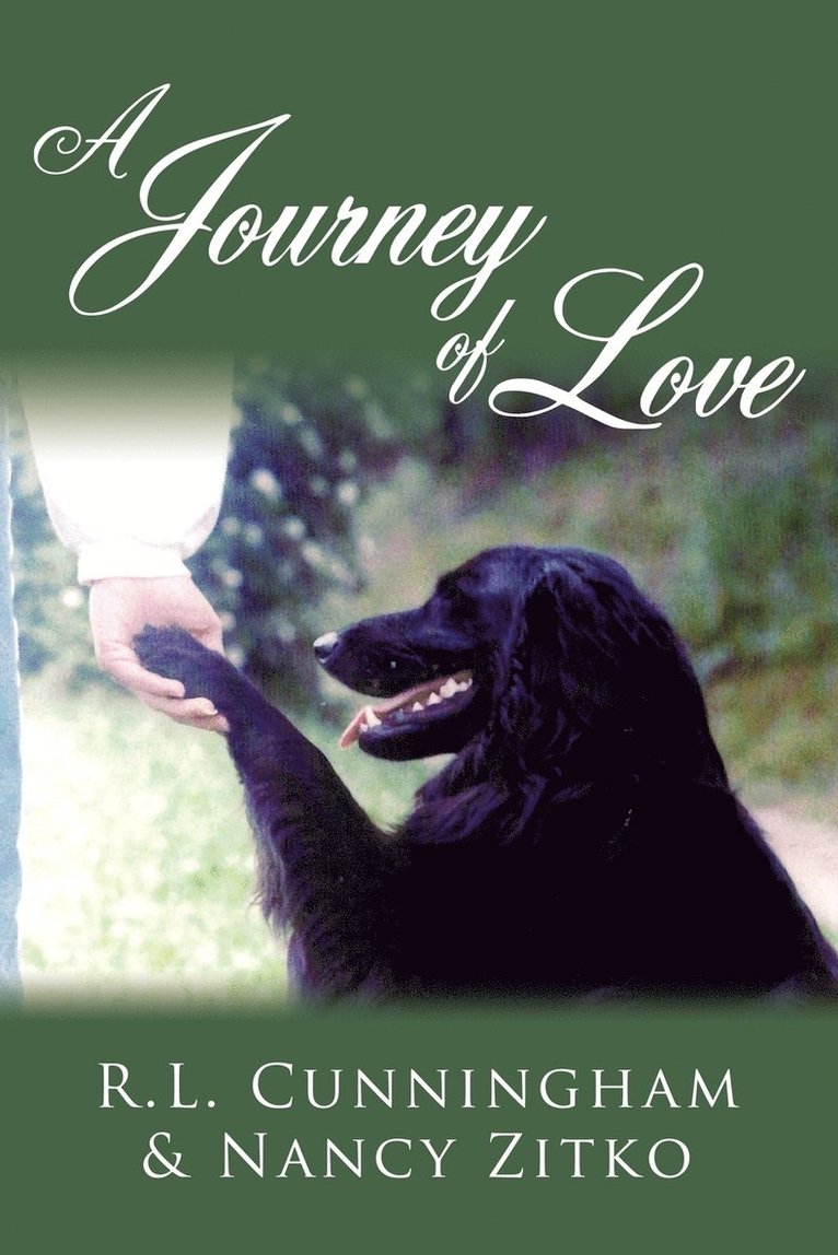 R.L. Cunningham, Nancy Zitko, R. L. Cunningham - Journey of Love, Häftad