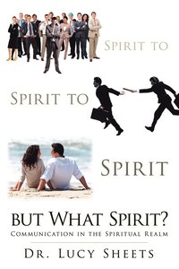 bokomslag Spirit to Spirit to Spirit But What Spirit?