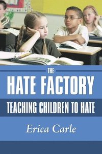 bokomslag Hate Factory