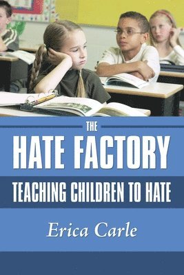 bokomslag Hate Factory