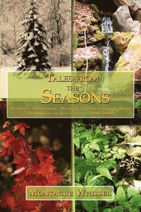 bokomslag Tales from the Seasons