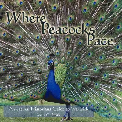 Where Peacocks Pace 1