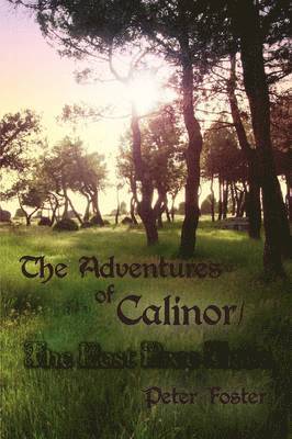 Peter Foster - Adventures of Calinor / The Lost Pixie Tribe, Häftad