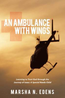 An Ambulance With Wings 1