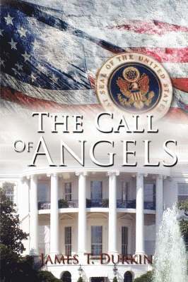 bokomslag Call of Angels
