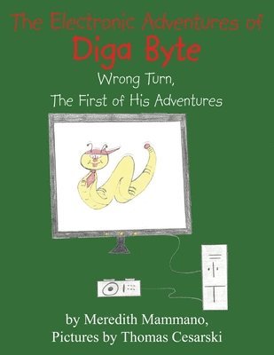 The Electronic Adventures of Diga Byte 1