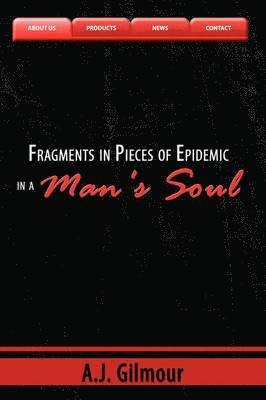 bokomslag Fragments in Pieces of Epidemic in a Man's Soul