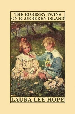 Laura Lee Hope - Bobbsey Twins on Blueberry Island, Häftad