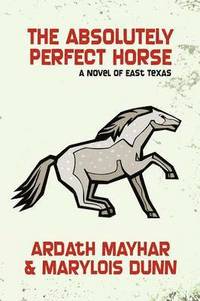bokomslag Absolutely Perfect Horse