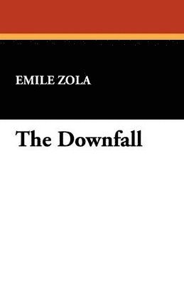 bokomslag Downfall