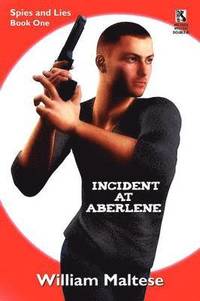 bokomslag Incident at Aberlene