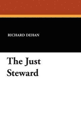 bokomslag Just Steward