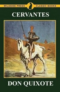 bokomslag Don Quixote