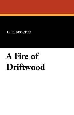 bokomslag Fire of Driftwood