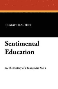 bokomslag Sentimental Education