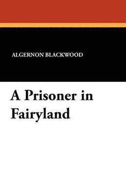 bokomslag Prisoner in Fairyland