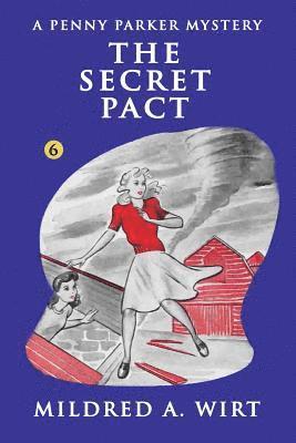 bokomslag The Secret Pact