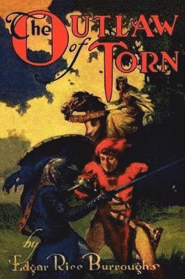 bokomslag Outlaw of Torn