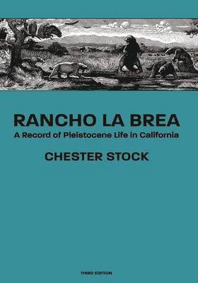 Rancho La Brea 1