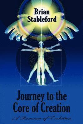 bokomslag Journey to the Core of Creation