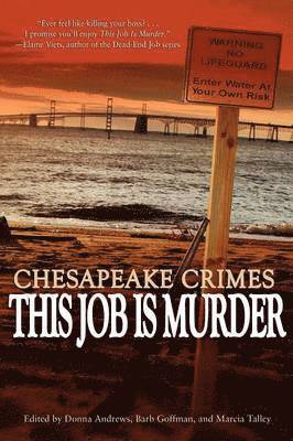 bokomslag Chesapeake Crimes