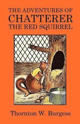 bokomslag Adventures of Chatterer the Red Squirrel