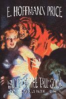 bokomslag Valley of the Tall Gods and Other Tales from the Pulps