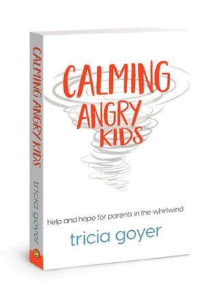 Tricia Goyer - Calming Angry Kids, Häftad