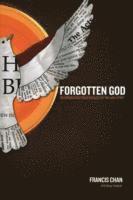 bokomslag Forgotten God