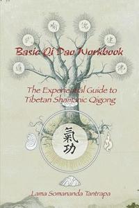 bokomslag Basic Qi Dao Workbook: The Experiential Guide To Tibetan Shamanic Qigong